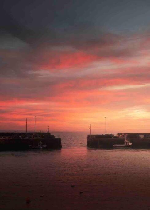 No3 By The Sea A 5 Star Cozy Coastal Cottage Saint Monance Esterno foto