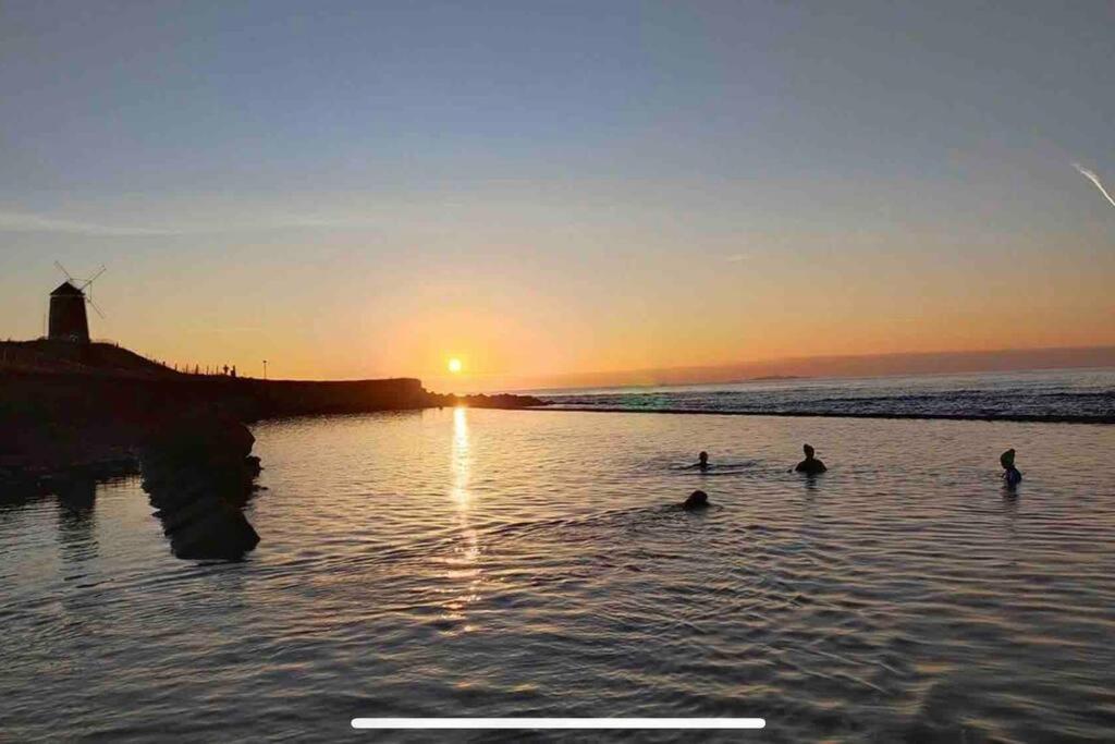 No3 By The Sea A 5 Star Cozy Coastal Cottage Saint Monance Esterno foto